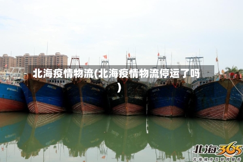北海疫情物流(北海疫情物流停运了吗)-第2张图片