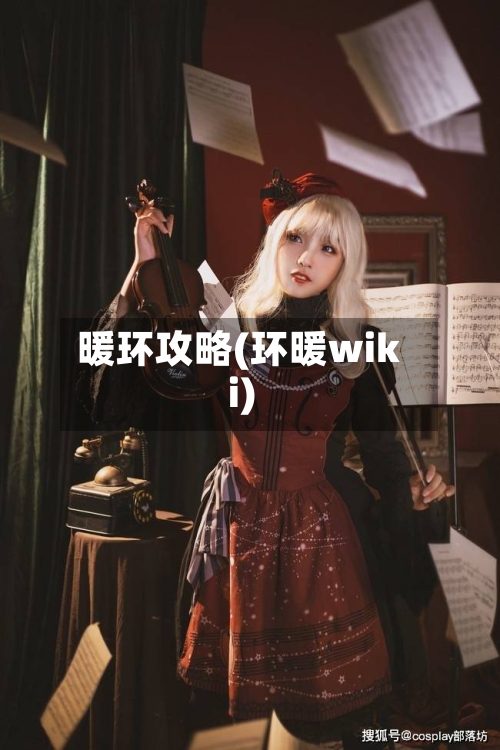 暖环攻略(环暖wiki)-第3张图片