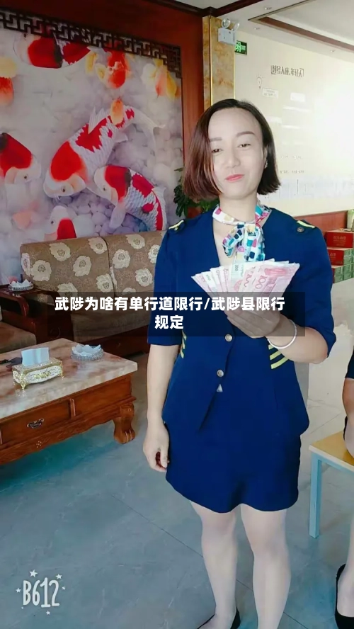 武陟为啥有单行道限行/武陟县限行规定-第2张图片