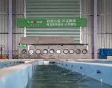 我来教大家“金州水鱼开挂器”(透视)其实确实有挂的简单介绍 我来教大家“金州水鱼开挂器”(透视)其实确实有挂的简单介绍